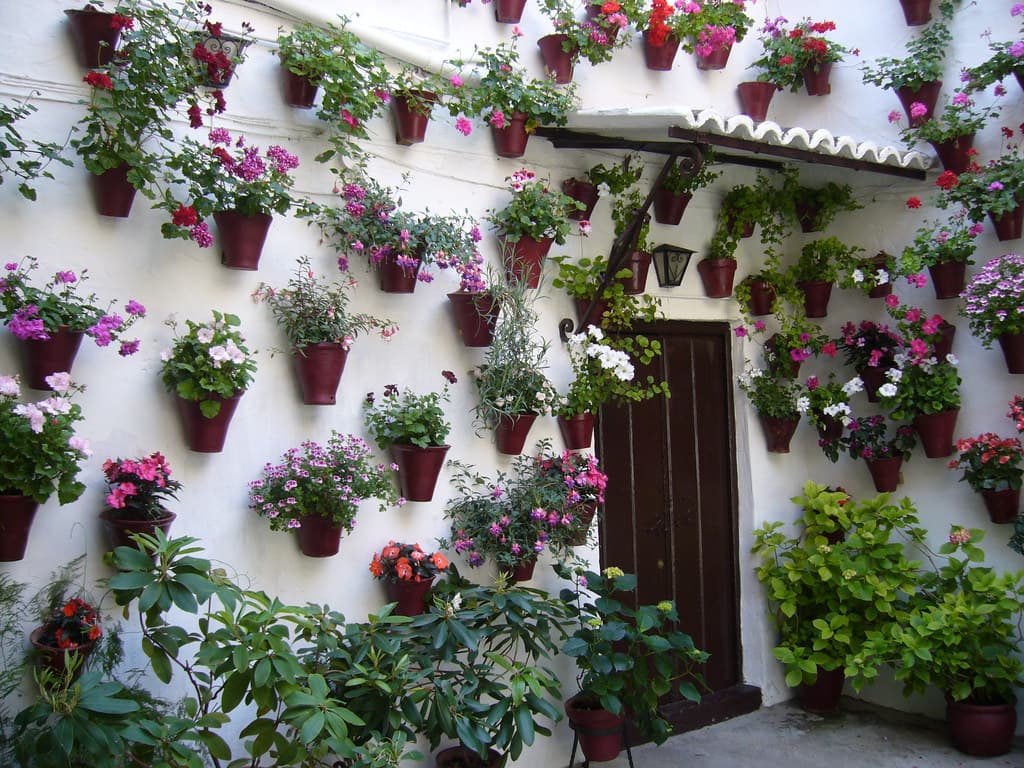 Dozens of potted red and pink geraniums hang on the whitewashed walls of a courtyard in Córdoba during the Fiesta de los Patios