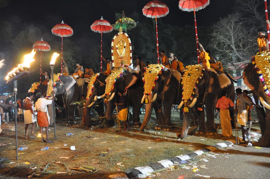 Decorated elephants lined up at night at the Thrissur Pooram