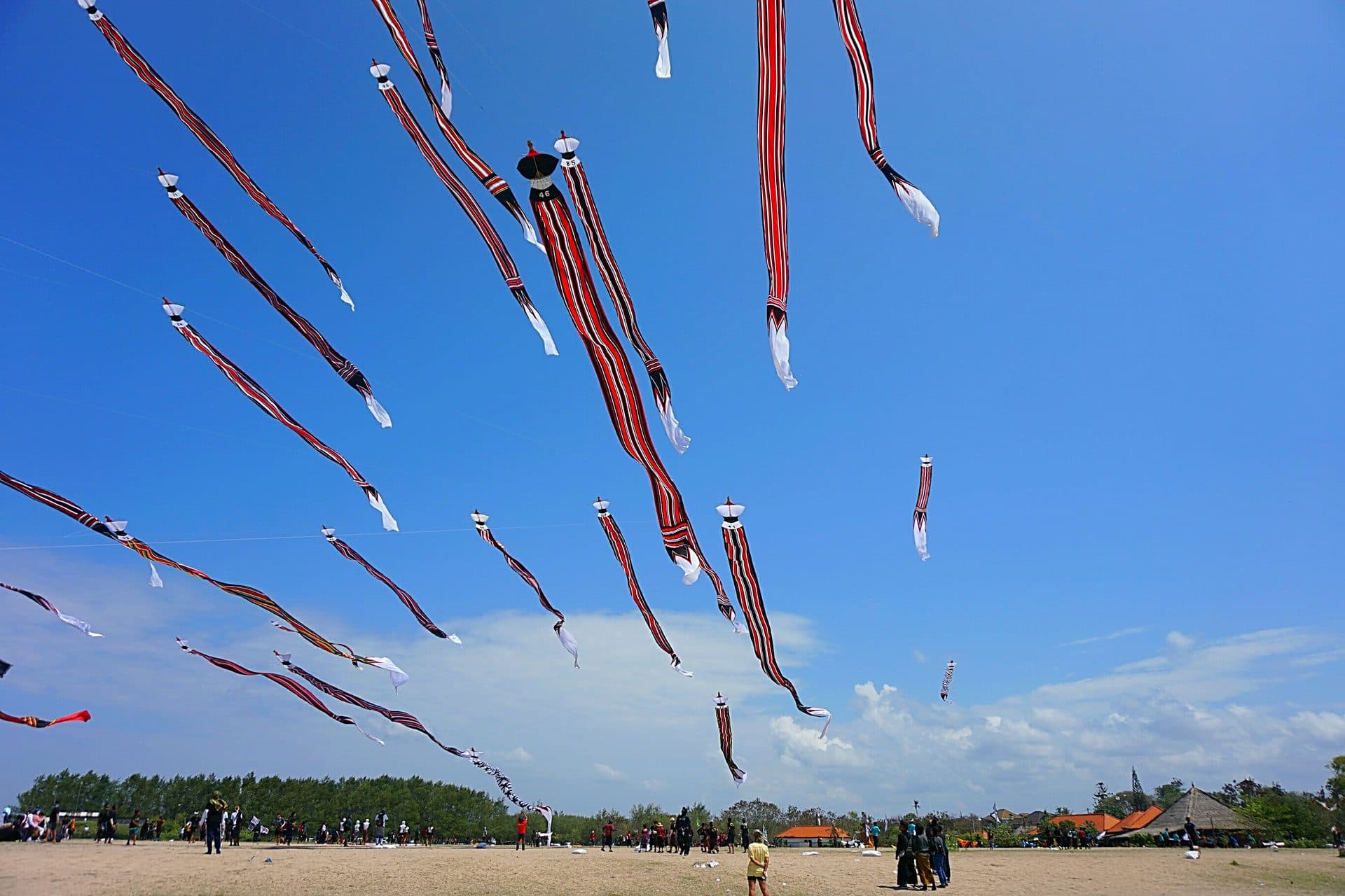 Dozens of long red, black and white kite tails stream across a blue sky above a sandy field with spectators