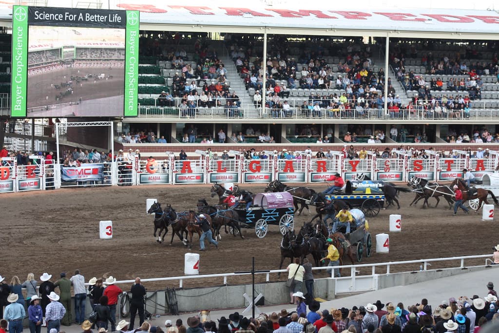 Four-horse chuckwagons and outriders race round the dirt track in front of the packed Calgary Stampede grandstand