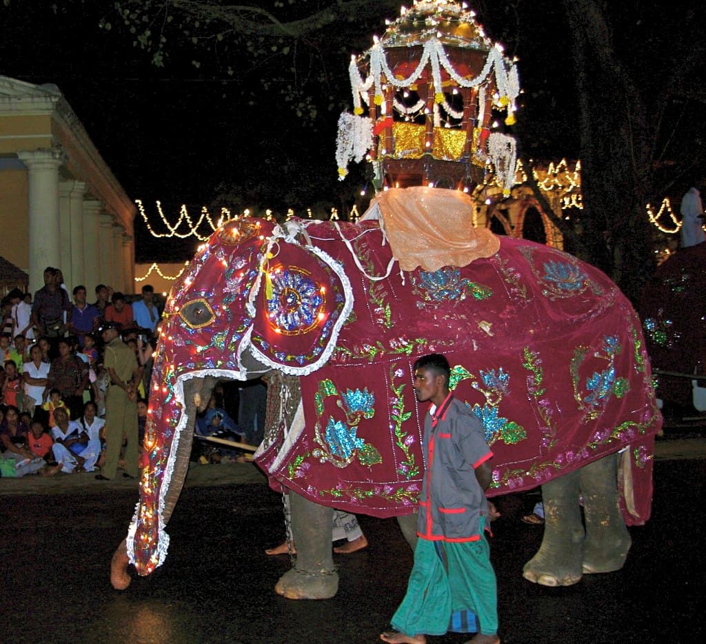 An elephant in a lit, embroidered caparison carries a tall illuminated canopy through a Kandy street at night, watched by seated crowds