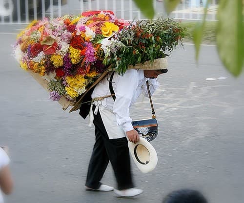 A silletero in white carries a tall arrangement of colourful flowers on his back along a parade route in Medellín