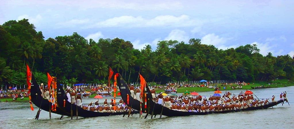 Long snake boats packed with rowers race side by side on a wide river lined with palm trees during the Aranmula boat race