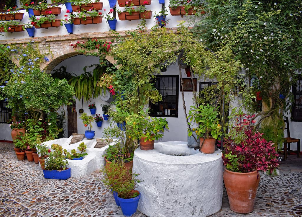 A Córdoba courtyard with a whitewashed well, blue flowerpots, red geraniums and arches surrounded by plants